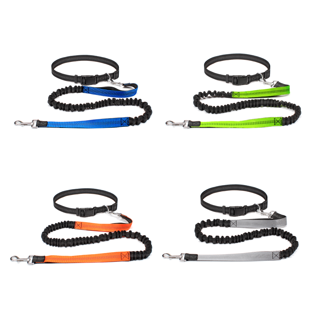 حزام كلب بدون استخدام اليدين ل - مراجعة Running Gear Organizer وسعره